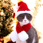 Dog and Cat Christmas Hat / Scarf - Petifo