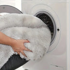 Comfydonut - Petifo