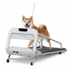 Cinta de correr plegable para perros con un perro caminando