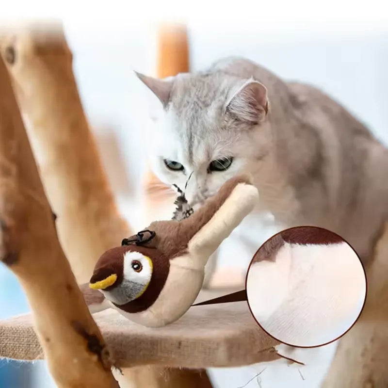 bird cat toy