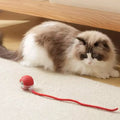 Interactive Cat Toy, 
Felineo Spinball, Felineo Spinball cat toy