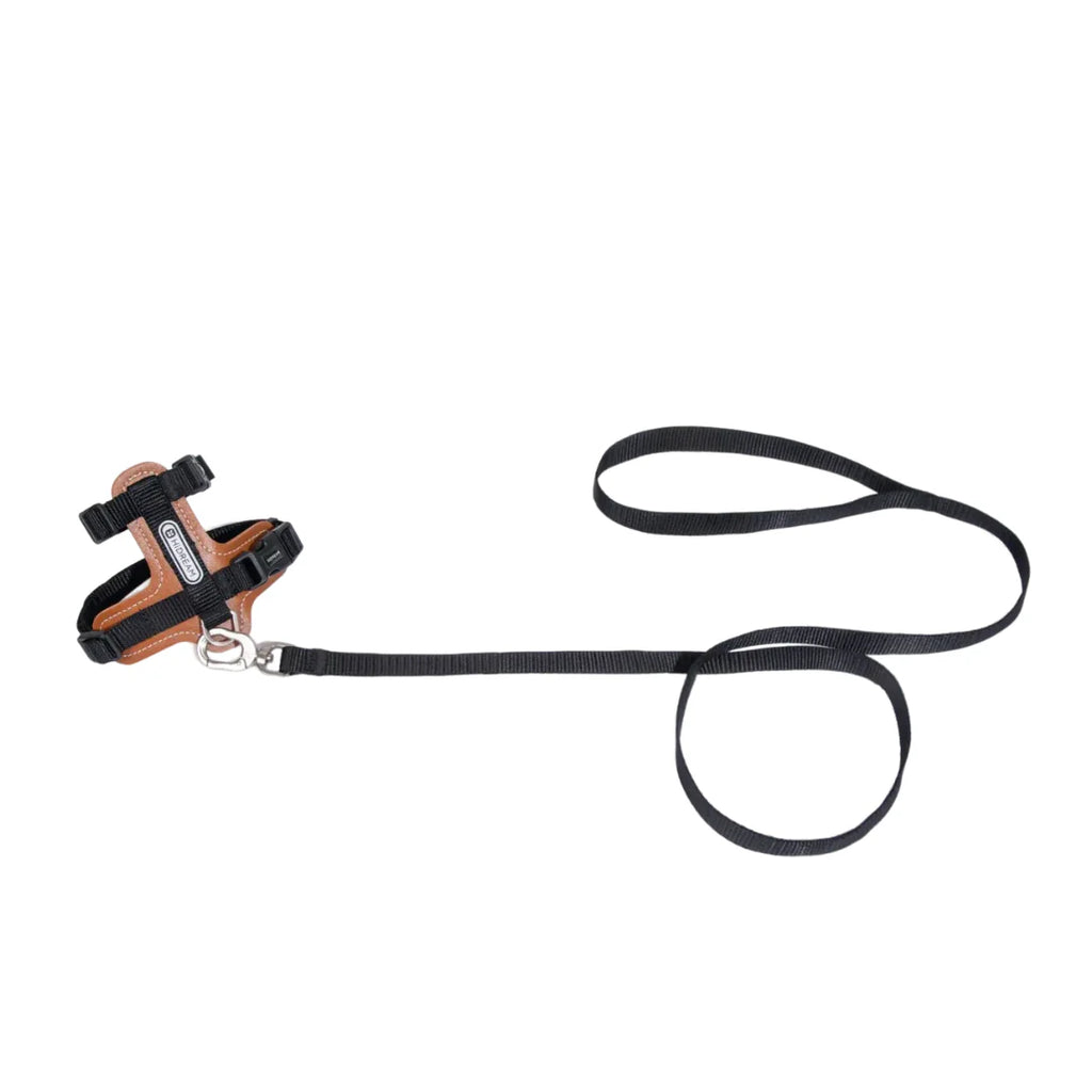 HiDream Leather Series cat harness - Petifo