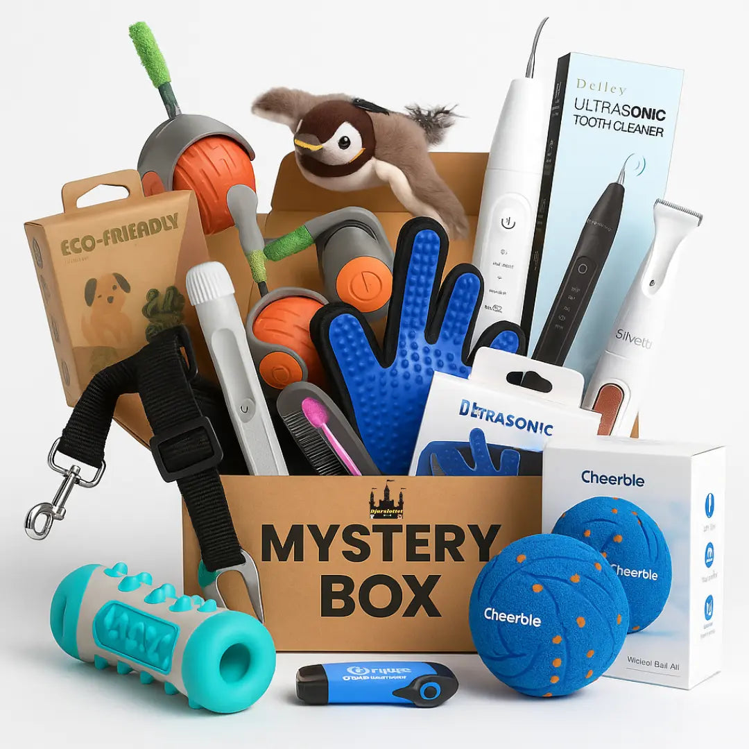 Mystery Box - Petifo