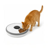 Comedero para mascotas de 6 comidas con paquete refrigerante PawHut