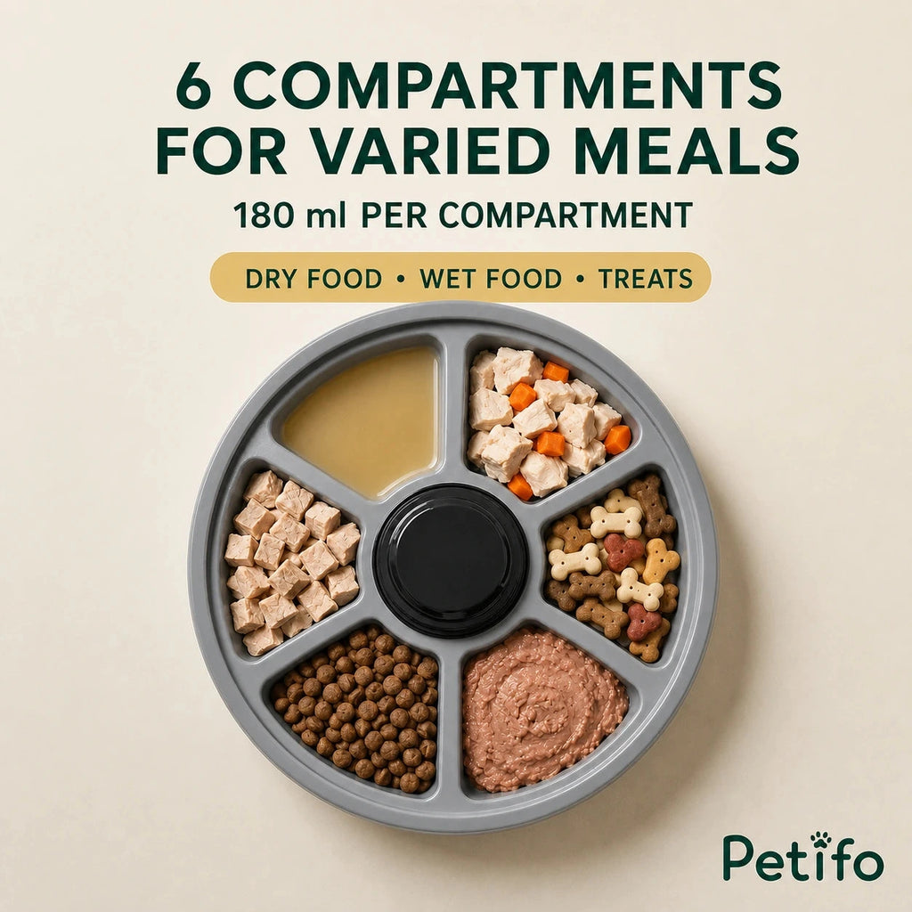PawHut 6-meal pet feeder: Six 180 ml compartments filled with varied pet meals - Petifo