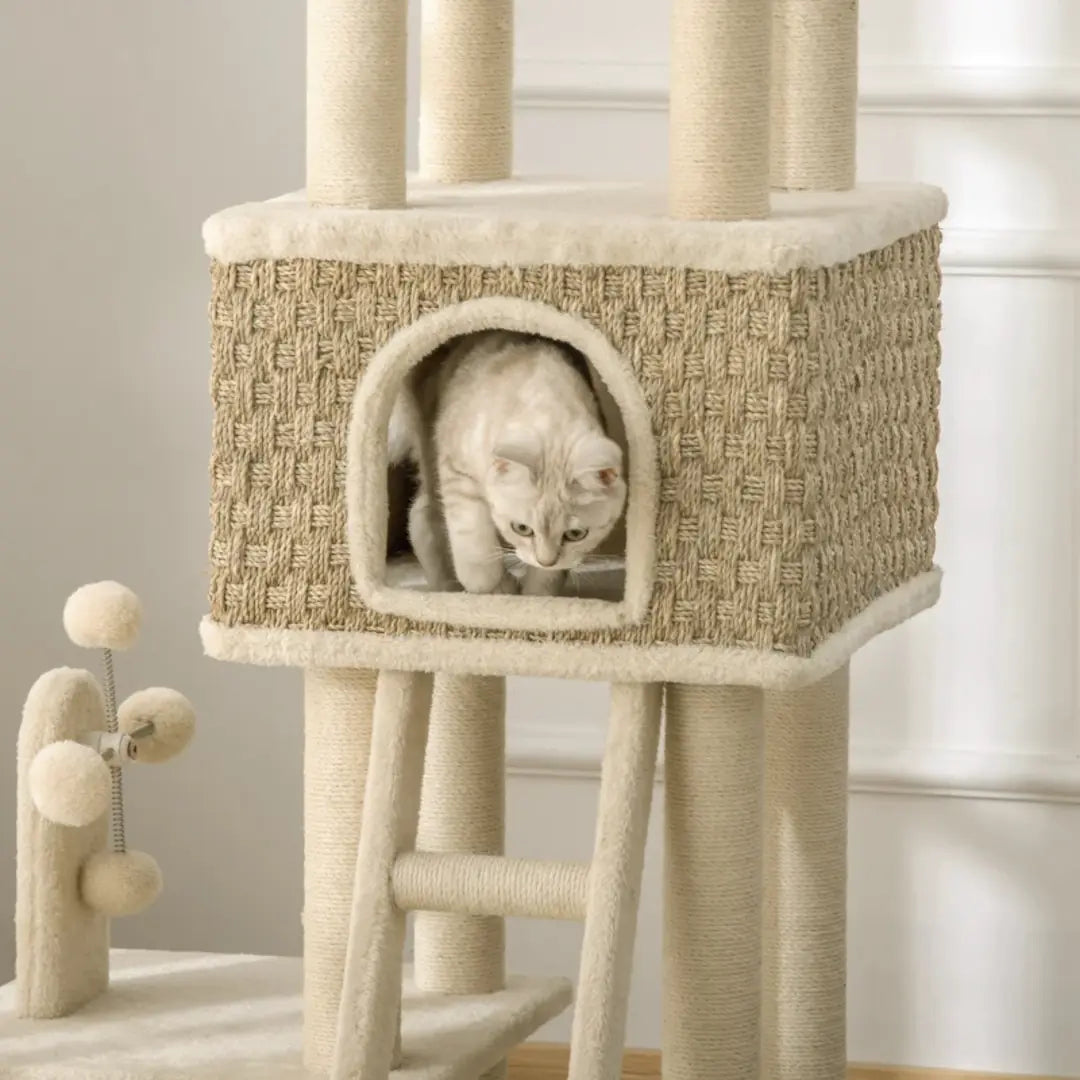 Enclosed cat house on the PawHut activity tree - Petifo
