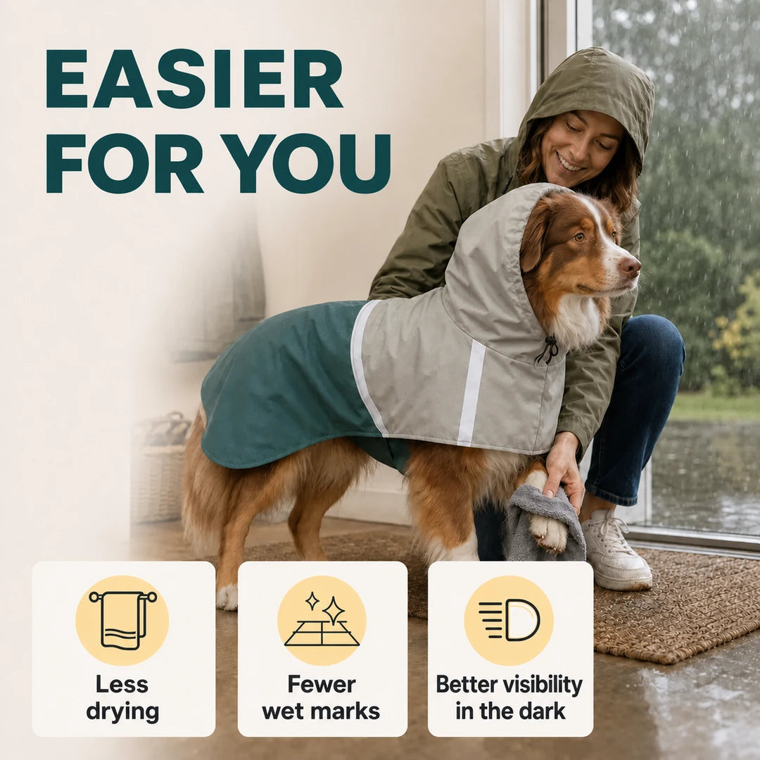 Everyday owner benefits of the PawHut dog raincoat - Petifo