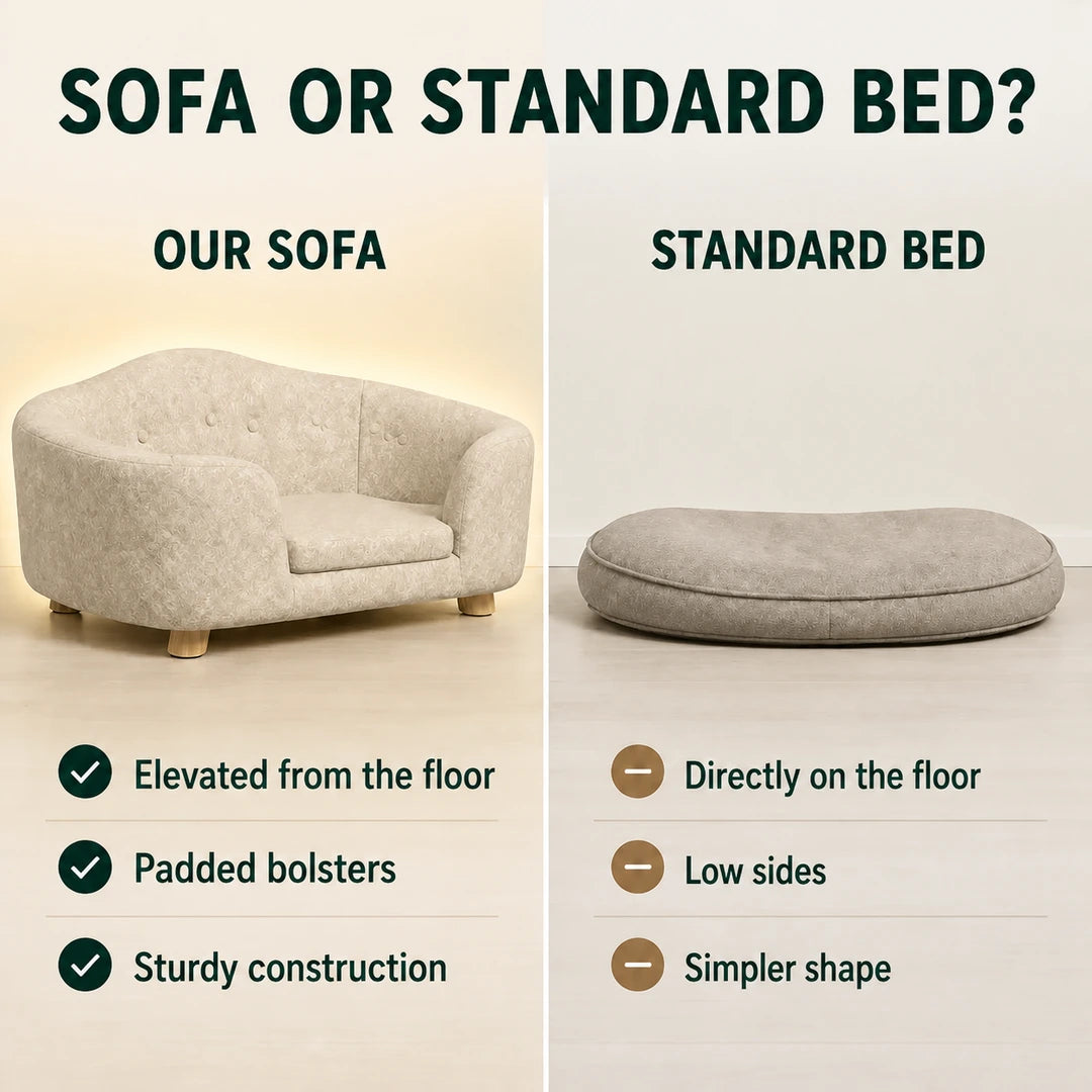PawHut pet sofa compared with a standard floor bed - Petifo