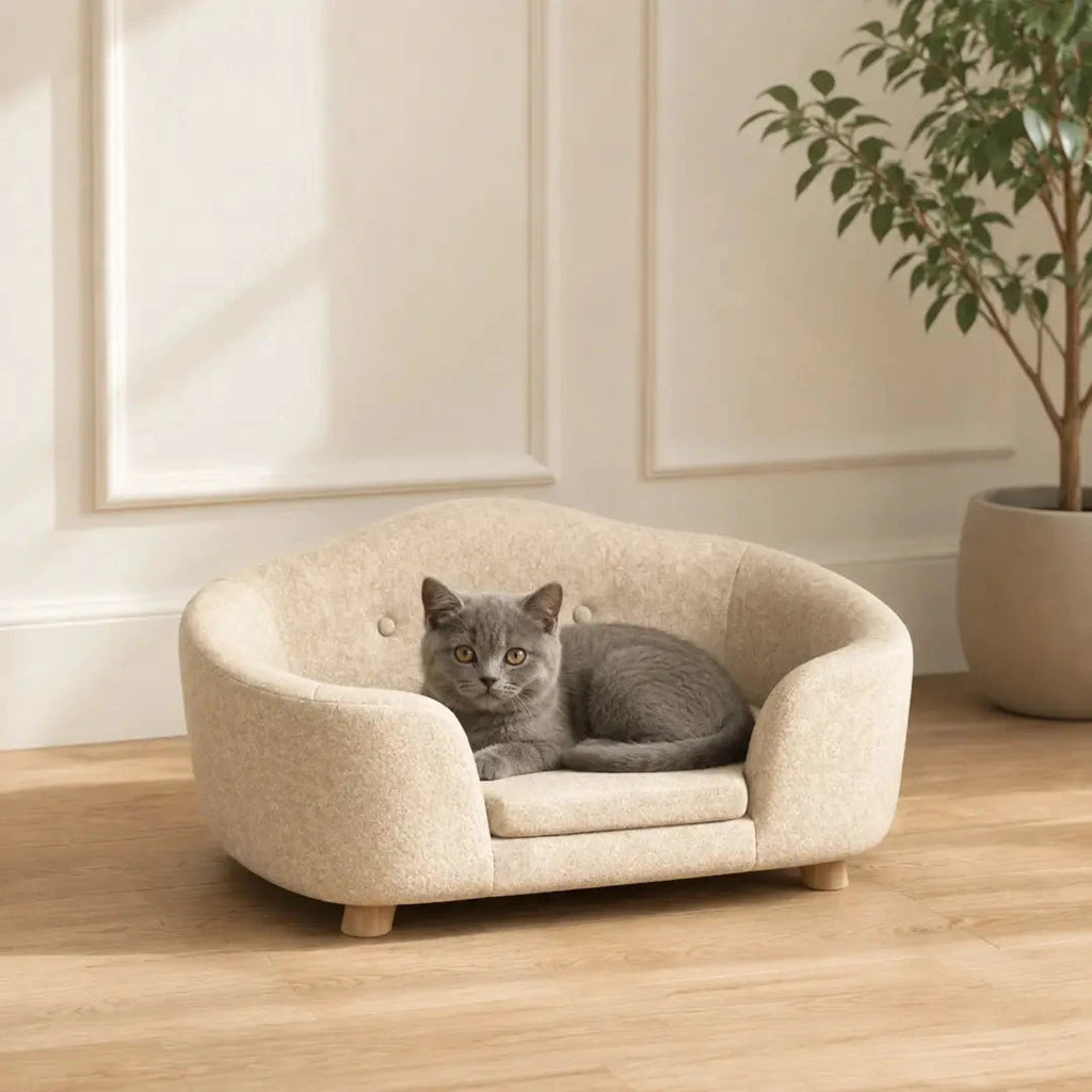 Cat resting on the PawHut elevated pet sofa bed - Petifo