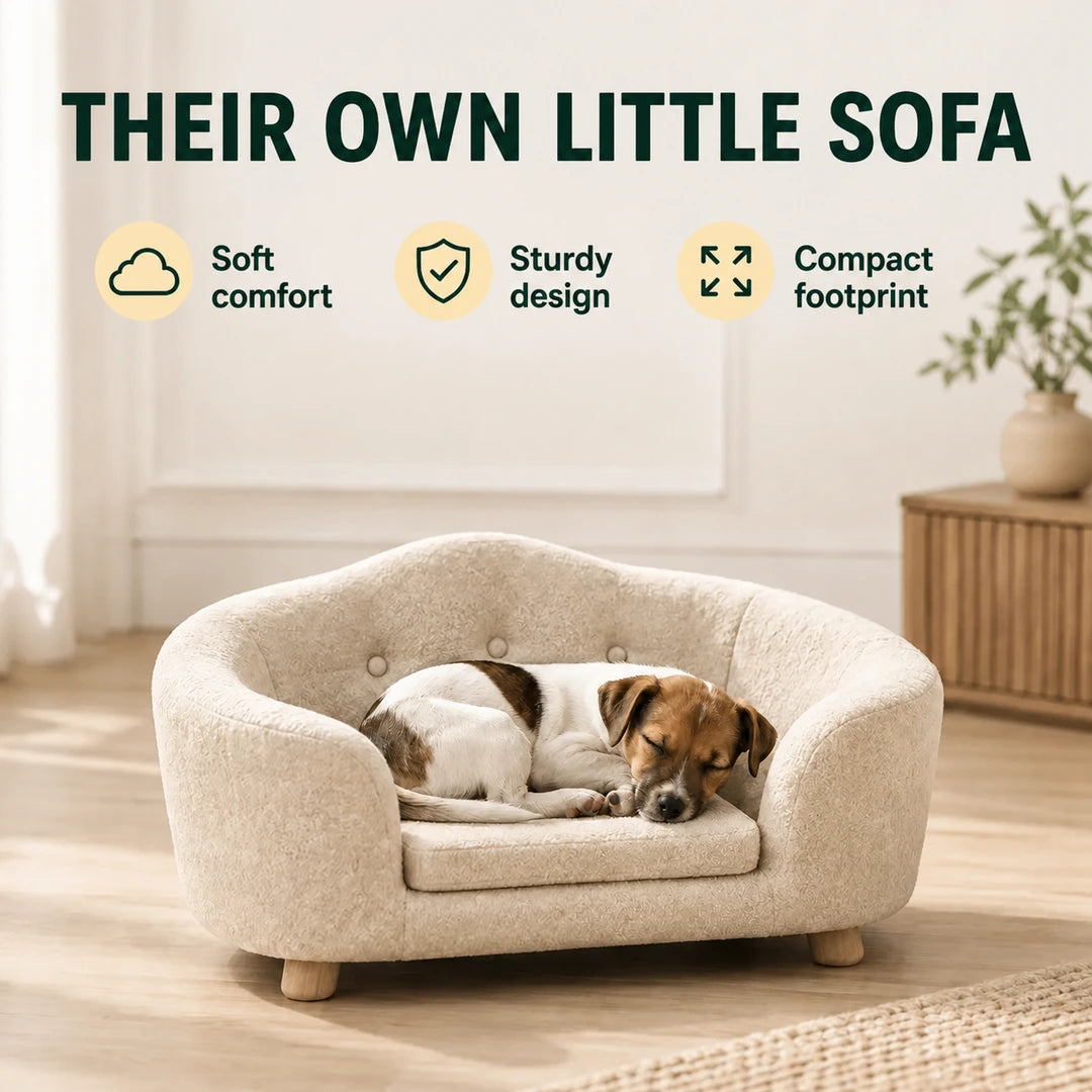 Dog resting on its own PawHut elevated pet sofa - Petifo