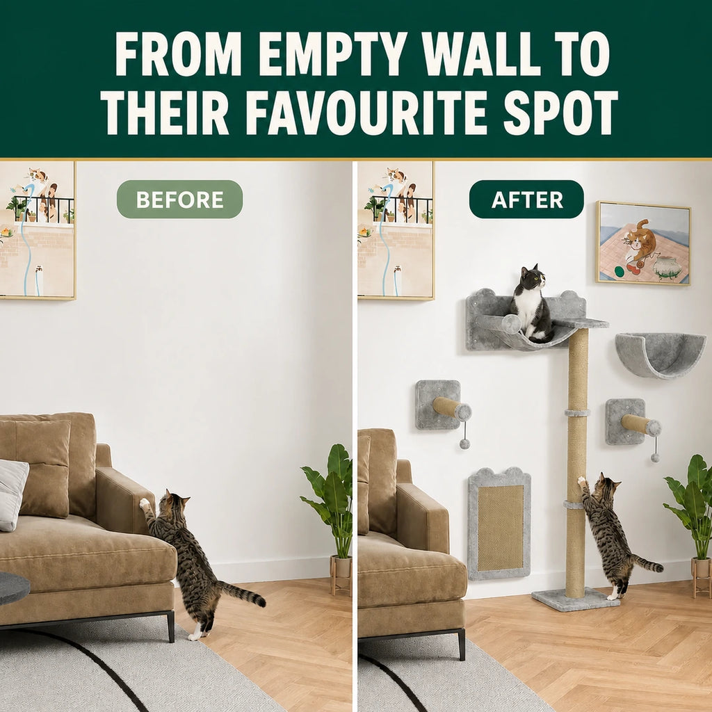 PawHut wall-mounted cat climbing set before and after installation - Petifo