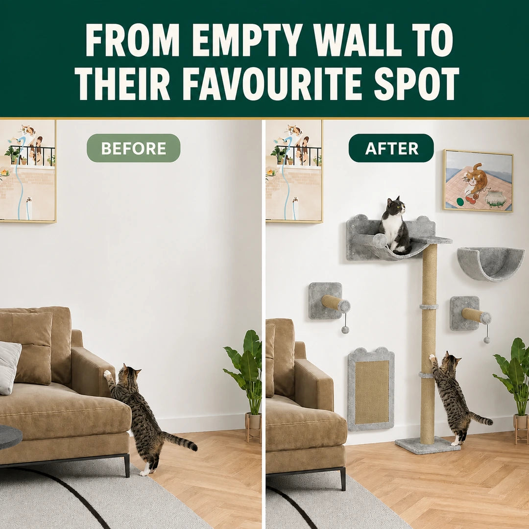 PawHut wall-mounted cat climbing set before and after installation - Petifo