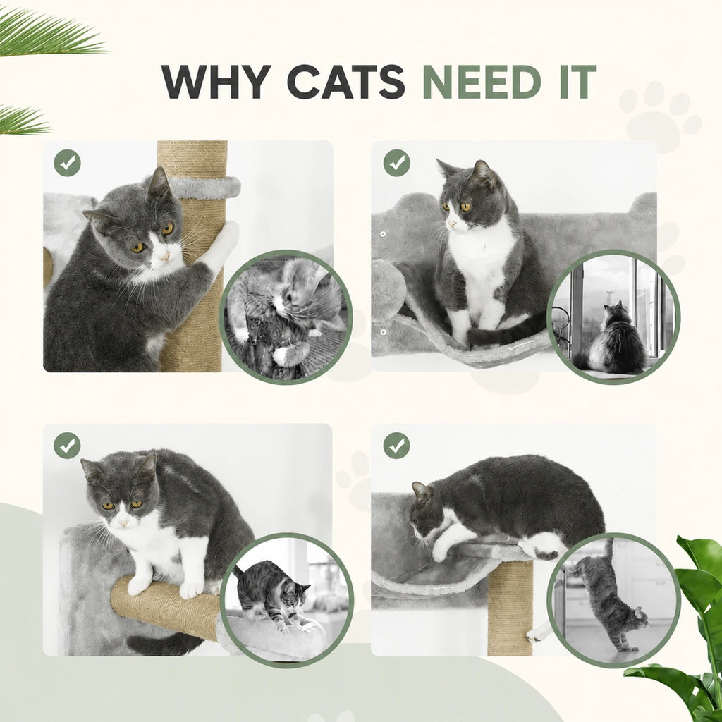 Cats using the PawHut wall-mounted cat climbing set - Petifo