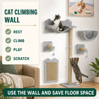 Four activities offered by the PawHut wall-mounted cat climbing set - Petifo