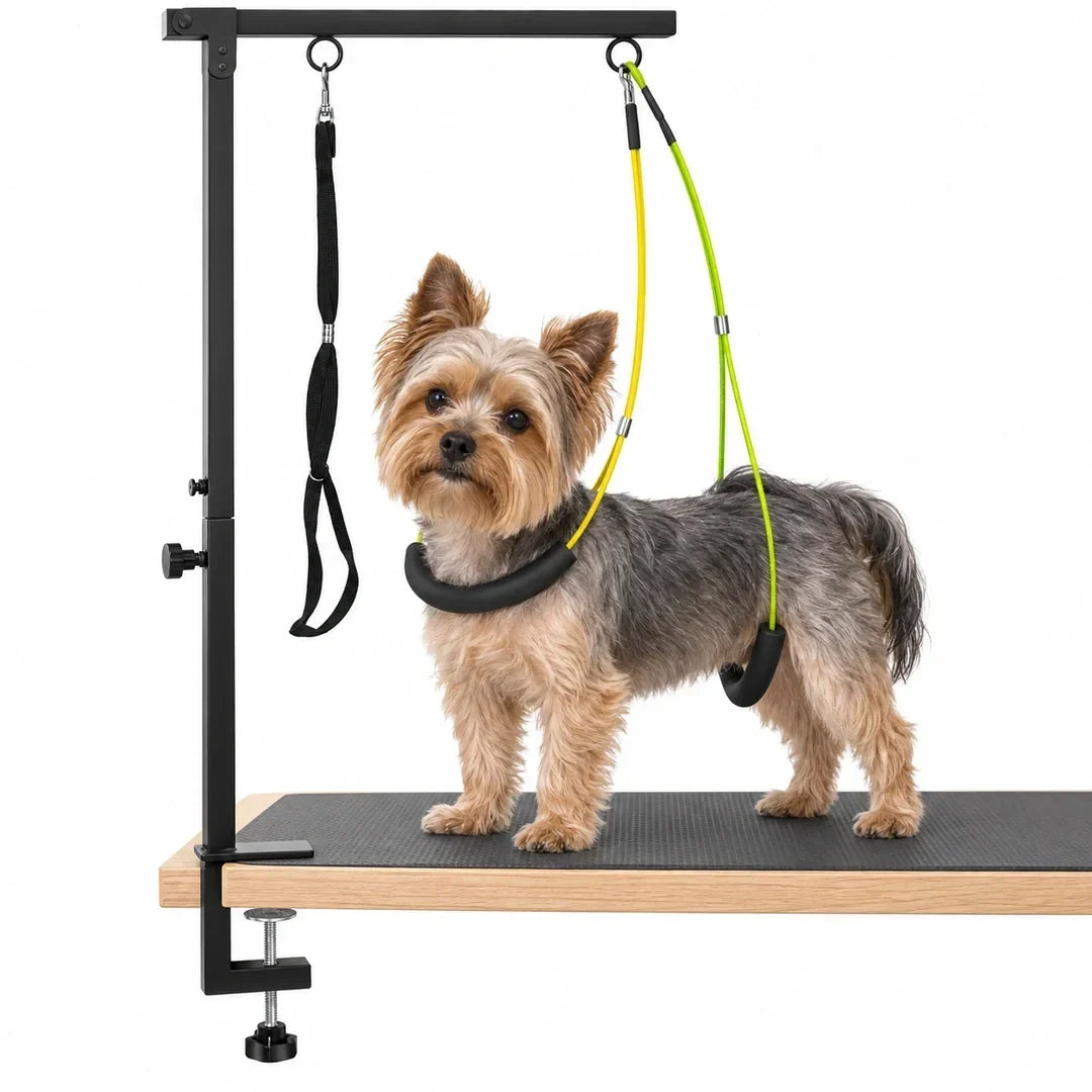 Pet Grooming Support Arm with a Yorkshire Terrier on a white background