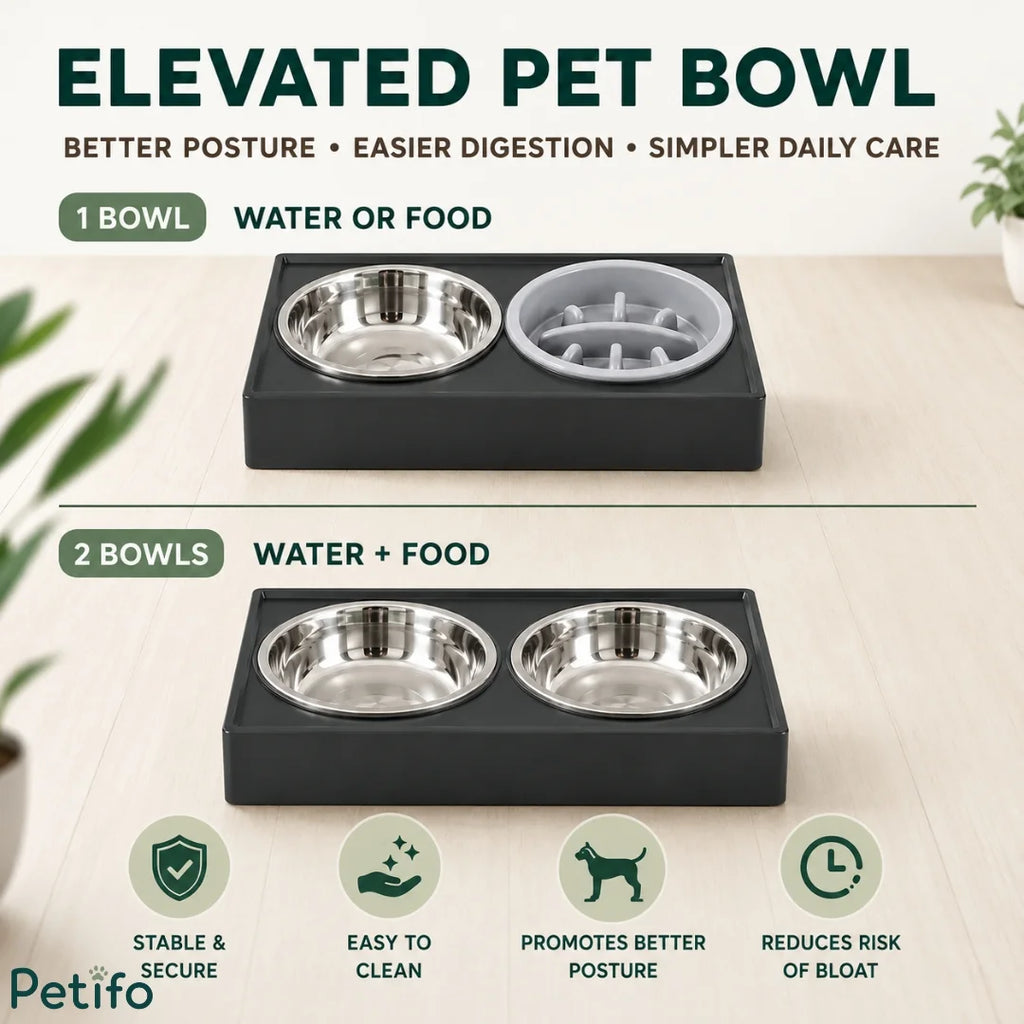 Petifo elevated pet bowl options comparing single slow feeder setup with dual stainless steel bowls