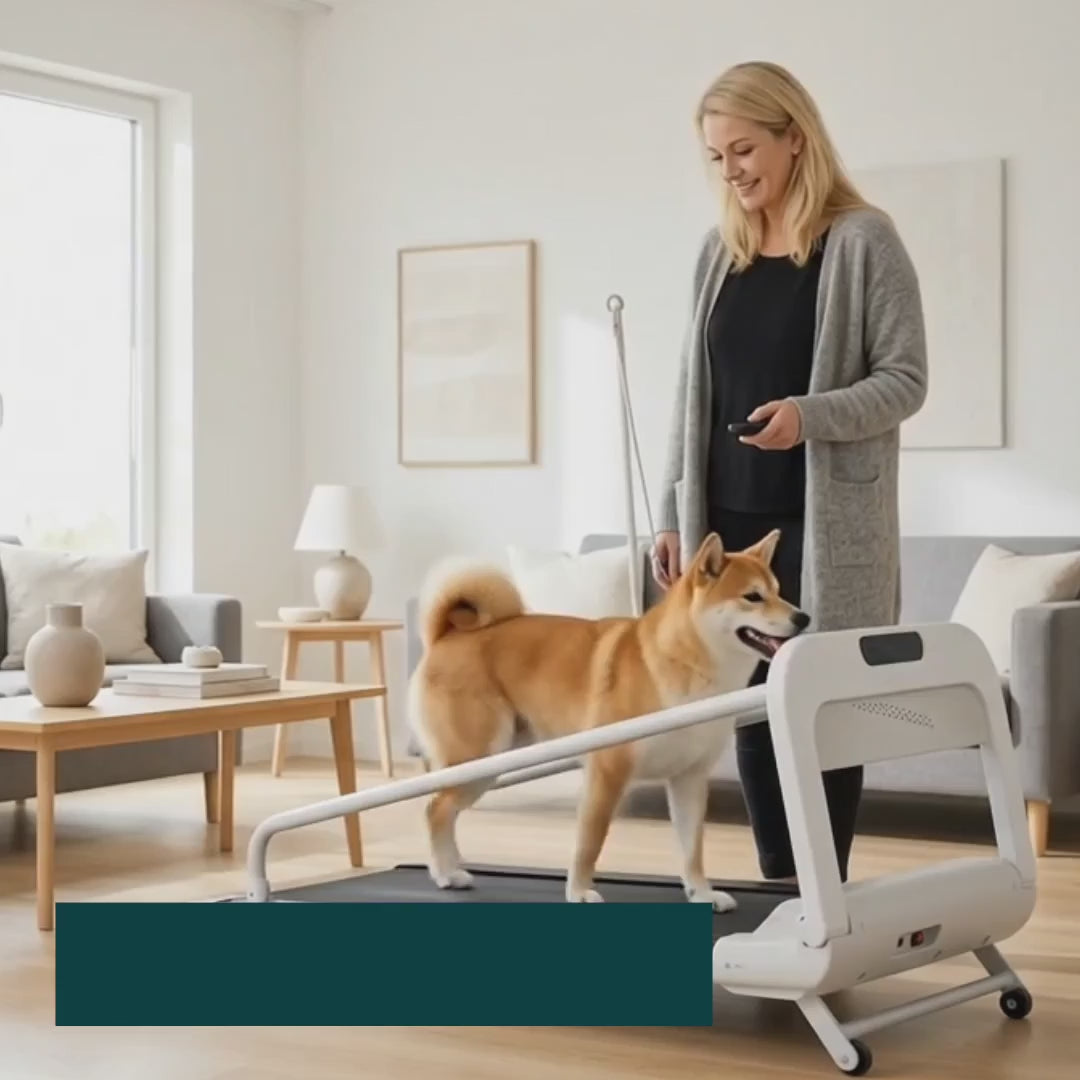 Foldable 2-in-1 treadmill in use by a dog - Petifo