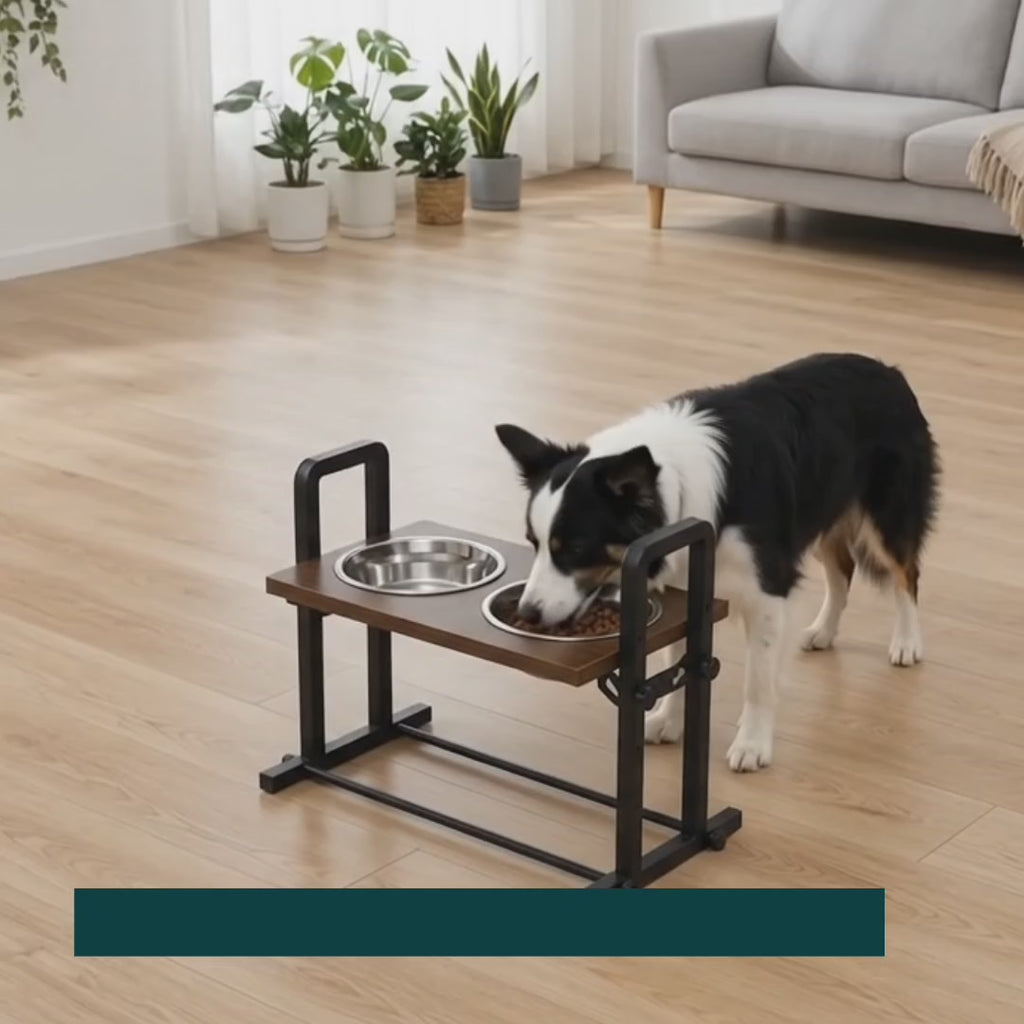 Dog eating from tilted PawHut raised bowls - Petifo