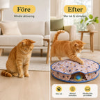 Purrnivo Self-Rolling Play Ball for Cats after - Petifo