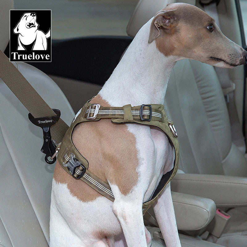 Safety Belt Dog, 
Car Seat Protection Dog, Premium Safety Belt