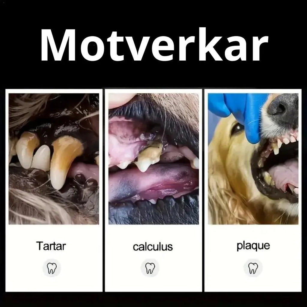 Tartar Scraper For Dogs,
Remove Tartar, Tartar Scraper 3 sets for dogs and cats - Petifo