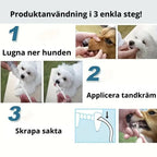 Tartar Scraper For Dogs,
Remove Tartar, Tartar Scraper 3 sets for dogs and cats - Petifo