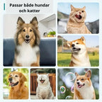 Tartar Scraper For Dogs,
Remove Tartar, Tartar Scraper 3 sets for dogs and cats - Petifo