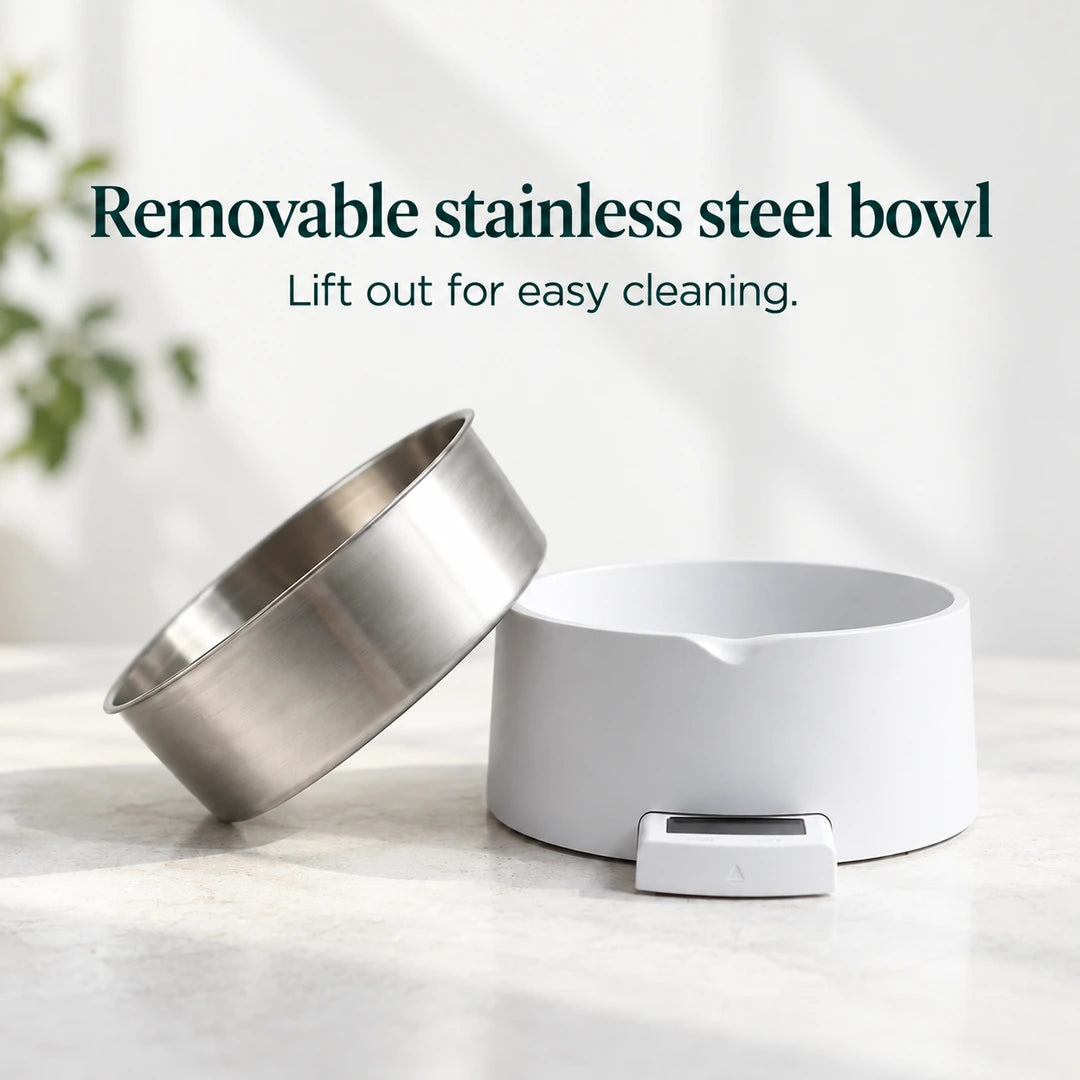 UpFeed Pro Pet Bowl with Scale, product view 9 - Petifo